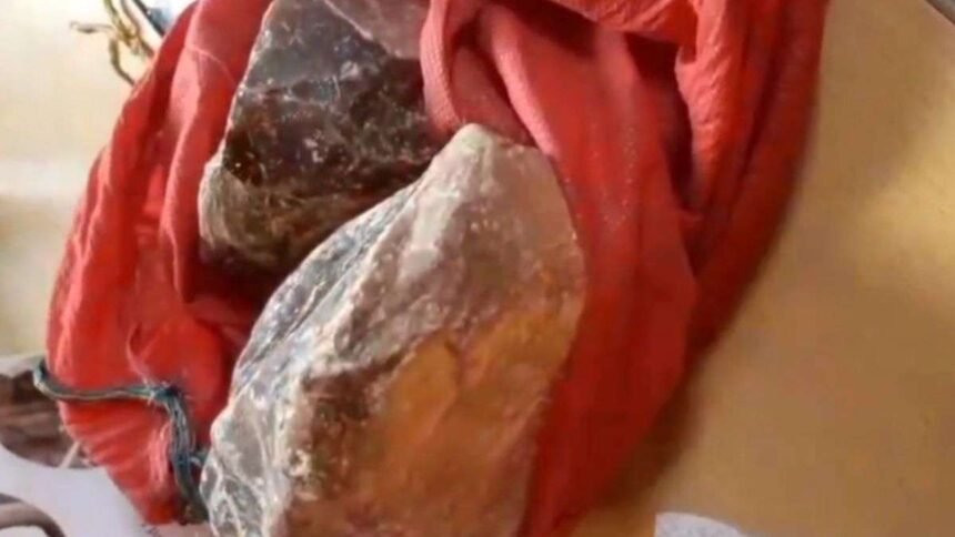 महाराष्ट्र:-बीड-से-व्हेल-मछली-की-उल्टी-बरामद,-करीब-1.5-करोड़-रुपए-है-कीमत,-2-लोग-गिरफ्तार