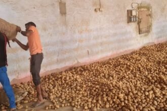 आलू-बीज-घोटाला:-जनप्रतिनिधियों-ने-लूट-लिया-हक…छोटे-किसान-रह-गए-खाली-हाथ,-रकम-मिली-न-राहत