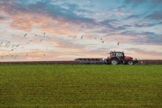 up:-किसानों-के-लिए-अच्छी-खबर…आलू-बीज-से-वंचित-रह-गए-जो-किसान,-उन्हें-वापस-किया-जा-रहा-पैसा