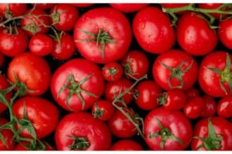 up:-बारिश-और-सहालग-से-सब्जियों-के-दाम-में-लगी-आग…-घर-का-बजट-झुलसा,-80-में-टमाटर,-160-में-मटर