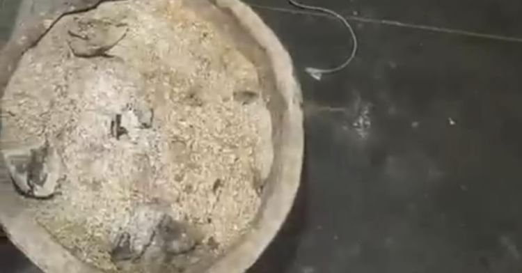 kanpur:-ठंड-से-बचने-की-कोशिश-बनी-जानलेवा,-बंद-कमरे-में-चार-युवकों-ने-गंवाई-जान,-पुलिस-और-फॉरेंसिक-टीम-मौके-पर