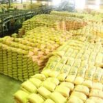 up-news:-किरकिरी-से-ली-सीख,-यूपी-में-अब-उर्वरक-बिक्री-पर-सरकार-का-रहेगा-डिजिटल-पहरा;-किसानों-को-मिलेगी-राहत