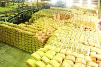 up-news:-किरकिरी-से-ली-सीख,-यूपी-में-अब-उर्वरक-बिक्री-पर-सरकार-का-रहेगा-डिजिटल-पहरा;-किसानों-को-मिलेगी-राहत