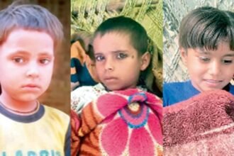 sambhal:-जेट्रोफा-का-फल-खाने-से-तीन-बच्चियों-की-हालत-बिगड़ी,-एक-ने-अस्पताल-में-तोड़ा-दम,-गांव-में-मचा-हड़कंप