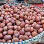 bareilly-news:-थोक-मंडी-में-आठ-रुपये-किलो-बिक-रहा-प्याज,-कीमत-में-गिरावट-से-कारोबारियों-के-निकले-आंसू