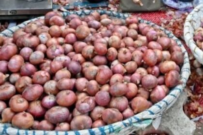 bareilly-news:-थोक-मंडी-में-आठ-रुपये-किलो-बिक-रहा-प्याज,-कीमत-में-गिरावट-से-कारोबारियों-के-निकले-आंसू