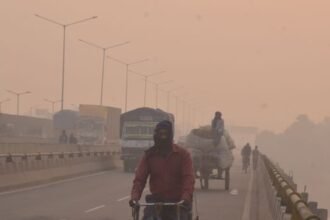 जहरीली-हुई-हवा:-फेफड़ों-में-मिल-रहे-धूल-धुएं-के-कण,-बढ़-रहा-लकवे-का-खतरा;-इन-बातों-का-रखें-ध्यान