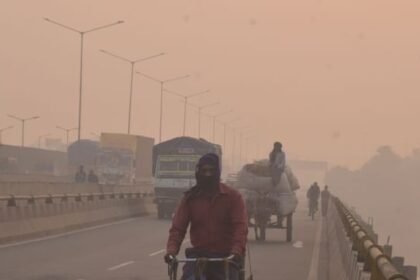 जहरीली-हुई-हवा:-फेफड़ों-में-मिल-रहे-धूल-धुएं-के-कण,-बढ़-रहा-लकवे-का-खतरा;-इन-बातों-का-रखें-ध्यान