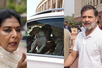 कांग्रेस-सांसद-संसद-में-ले-आई-थीं-कुत्ता,-अब-राहुल-गांधी-ने-कहा-‘मेरा-मानना-​​है-कि-आज-कुत्ता-ही…’