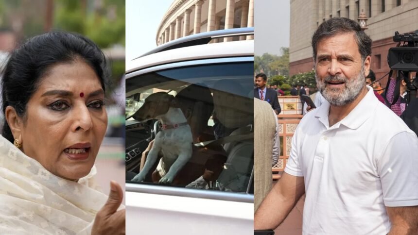 कांग्रेस-सांसद-संसद-में-ले-आई-थीं-कुत्ता,-अब-राहुल-गांधी-ने-कहा-‘मेरा-मानना-​​है-कि-आज-कुत्ता-ही…’