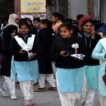 rmpsu:-मोबाइल-से-नकल-करते-चार-परीक्षार्थी-पकड़े,-फर्नीचर-न-होने-पर-पैर-पर-कॉपी-रखकर-पेपर,-परीक्षा-केंद्र-बदले