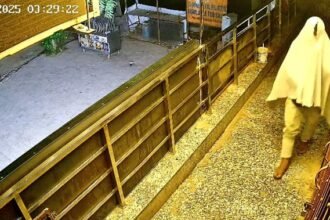 up:-मथुरा-में-50-लाख-की-चोरी…भतीजे-की-शादी-में-व्यस्त-ठेकेदार,-चोरों-ने-घर-के-तोड़-दिए-घर-के-ताले