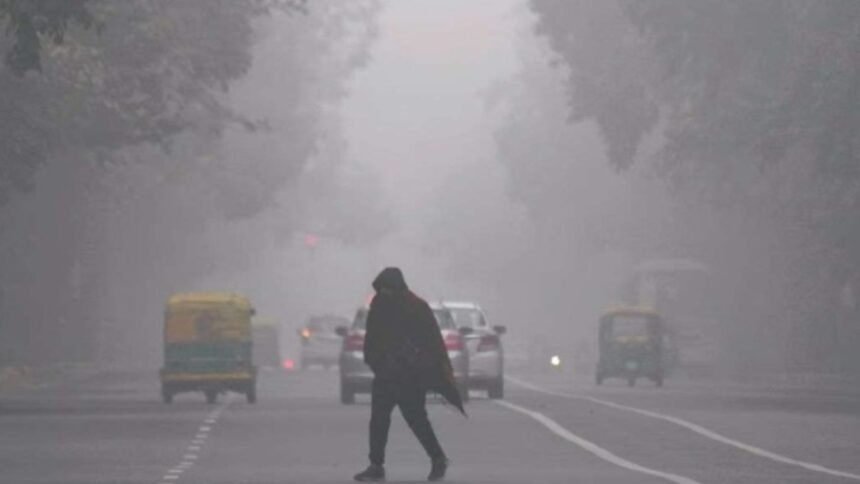 दिसंबर-का-दूसरा-सप्ताह,-दिल्ली-में-ना-शीतलहर-ना-कड़ाके-की-सर्दी?-imd-ने-बताया-क्या-है-माजरा?