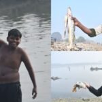 moradabad: रामगंगा-नदी-में-मृत-मिली-हजारों-मछलियां,-पकड़ने-के-लिए-टूट-पड़े-लोग,-कैसे-मरी-किसी-को-पता-नहीं