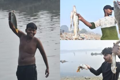 moradabad: रामगंगा-नदी-में-मृत-मिली-हजारों-मछलियां,-पकड़ने-के-लिए-टूट-पड़े-लोग,-कैसे-मरी-किसी-को-पता-नहीं