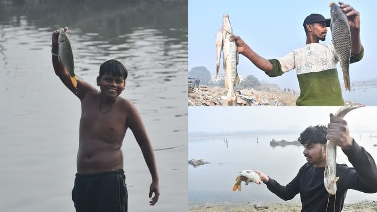 moradabad: रामगंगा-नदी-में-मृत-मिली-हजारों-मछलियां,-पकड़ने-के-लिए-टूट-पड़े-लोग,-कैसे-मरी-किसी-को-पता-नहीं