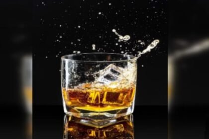 up:-नए-साल-की-पार्टी-में-शराब-परोसनी-है-तो-लेना-होगा-लाइसेंस,-जानें-घर-और-होटल-के-लिए-कितनी-है-फीस