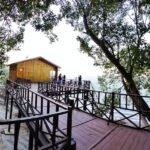 पीलीभीत-टाइगर-रिजर्व:-नए-साल-में-चूका-बीच-पर-उमड़ेंगे-सैलानी,-जनवरी-के-पहले-सप्ताह-तक-सभी-हटें-बुक