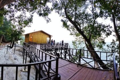 पीलीभीत-टाइगर-रिजर्व:-नए-साल-में-चूका-बीच-पर-उमड़ेंगे-सैलानी,-जनवरी-के-पहले-सप्ताह-तक-सभी-हटें-बुक