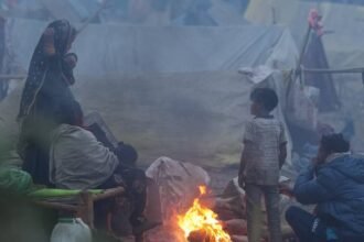 शीतलहर-की-चपेट-में-उत्तर-भारत,-दिल्ली-ncr-में-बारिश-के-आसार,-जानें-नए-साल-पर-कैसा-रहेगा-मौसम