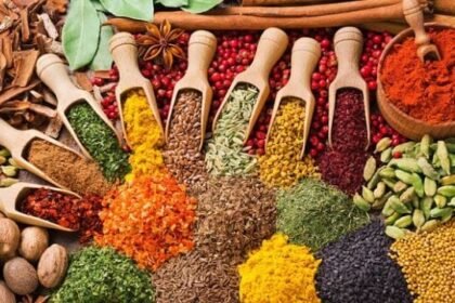 up:-सब्सिडी-क्लस्टर-की-जरूरत…मसालों-की-विदेशों-तक-फैलेगी-महक,-रोजगार-को-लगेंगे-पंख