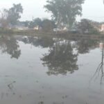 agra:-खेतों-में-भर-रहा-नाले-का-गंदा-पानी,-फसलें-हो-रहीं-बर्बादी…sdm-किरावली-ने-गठित-की-जांच-टीम