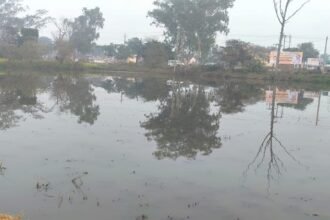 agra:-खेतों-में-भर-रहा-नाले-का-गंदा-पानी,-फसलें-हो-रहीं-बर्बादी…sdm-किरावली-ने-गठित-की-जांच-टीम