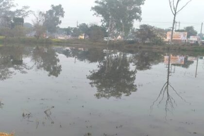 agra:-खेतों-में-भर-रहा-नाले-का-गंदा-पानी,-फसलें-हो-रहीं-बर्बादी…sdm-किरावली-ने-गठित-की-जांच-टीम