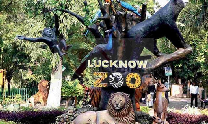 lucknow-news:-शिफ्ट-होगा-चिड़ियाघर!-आबादी-के-बीच-में-वन्यजीवों-के-स्वास्थ्य-पर-पड़-रहा-विपरीत-प्रभाव