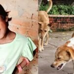 यूपी:-आवारा-कुत्तों-ने-9-साल-की-बच्ची-का-हाथ-काटकर-अलग-किया,-नोंच-नोंचकर-दी-दर्दनाक-मौत