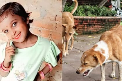 यूपी:-आवारा-कुत्तों-ने-9-साल-की-बच्ची-का-हाथ-काटकर-अलग-किया,-नोंच-नोंचकर-दी-दर्दनाक-मौत