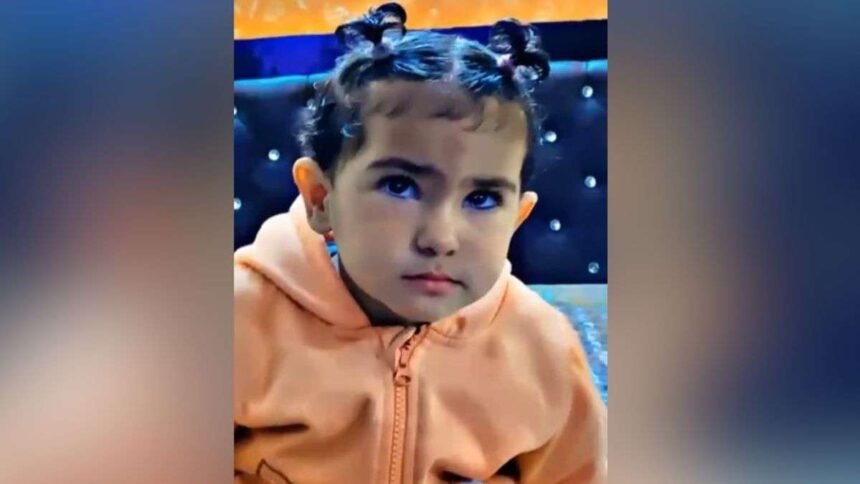 यूपी:-4-साल-की-बच्ची-को-उठा-ले-गया-आवारा-कुत्तों-का-झुंड,-नोंच-नोंचकर-मार-डाला,-परिवार-का-रो-रोकर-बुरा-हाल