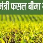 फसल-बीमा-के-नाम-पर-मजाक:-इंश्योरेंस-कंपनी-ने-कमाए-95-करोड़,-बाबूराम-को-क्लेम-मिला-2.72-रुपये