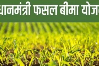 फसल-बीमा-के-नाम-पर-मजाक:-इंश्योरेंस-कंपनी-ने-कमाए-95-करोड़,-बाबूराम-को-क्लेम-मिला-2.72-रुपये