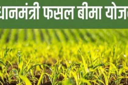 फसल-बीमा-के-नाम-पर-मजाक:-इंश्योरेंस-कंपनी-ने-कमाए-95-करोड़,-बाबूराम-को-क्लेम-मिला-2.72-रुपये