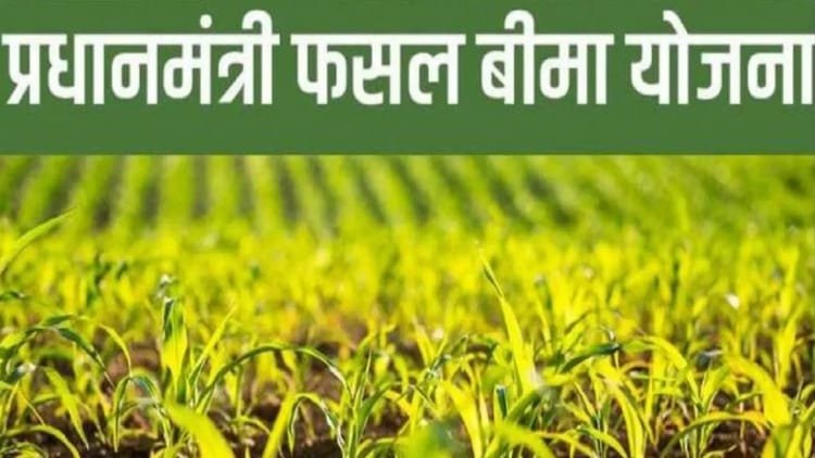 फसल-बीमा-के-नाम-पर-मजाक:-इंश्योरेंस-कंपनी-ने-कमाए-95-करोड़,-बाबूराम-को-क्लेम-मिला-2.72-रुपये