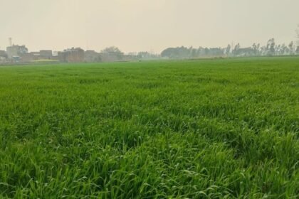 bareilly-news:-परसाखेड़ा-आवासीय-योजना-के-लिए-जमीन-देने-से-किसानों-का-इन्कार,-बोले-तीन-साल-से-धोखा-दे-रहे-अफसर