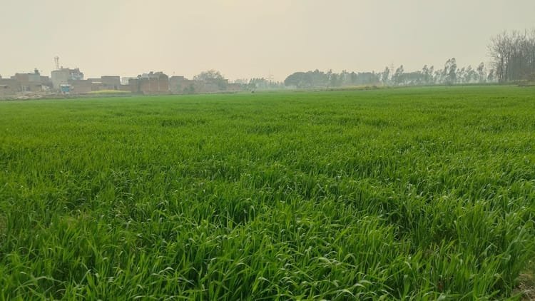 bareilly-news:-परसाखेड़ा-आवासीय-योजना-के-लिए-जमीन-देने-से-किसानों-का-इन्कार,-बोले-तीन-साल-से-धोखा-दे-रहे-अफसर