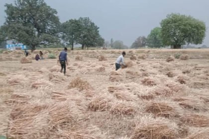 up:-जिन-किसानों-के-पास-नहीं-है-जमीन,-उनके-लिए-खुशखबरी,-226-रुपये-में-मिलेगी-एम-पैक्स-सदस्यता;-ये-होगा-लाभ