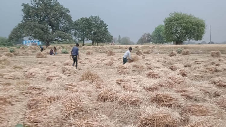 up:-जिन-किसानों-के-पास-नहीं-है-जमीन,-उनके-लिए-खुशखबरी,-226-रुपये-में-मिलेगी-एम-पैक्स-सदस्यता;-ये-होगा-लाभ