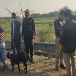 up:-17-महीनों-में-5-हत्याएं,-पहचान-किसी-की-भी-नहीं;-आगरा-में-हत्या-की-वो-वारदातें,-जो-फाइलों-में-गुम-हो-गईं