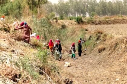 up:-वीबी-जीरामजी-के-आगे-मनरेगा-के-12-हजार-अधूरे-काम-चुनौती,-30-हजार-से-अधिक-मजदूरों-की-मजदूरी-अटकी,-पढ़ें-डिटेल