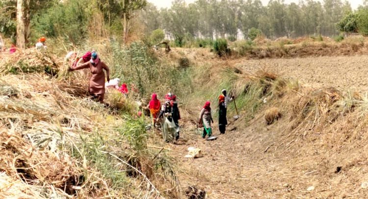 up:-वीबी-जीरामजी-के-आगे-मनरेगा-के-12-हजार-अधूरे-काम-चुनौती,-30-हजार-से-अधिक-मजदूरों-की-मजदूरी-अटकी,-पढ़ें-डिटेल