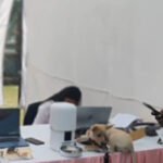 kanpur:-पेट-को-ऑफिस-से-दे-सकेंगे-खाना,-पलक-झपकते-हमला-करेगा-ड्रोन