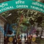 up:-स्लॉटर-हाउस-में-पर्यावरण-नियमों-के-उल्लंघन-की-शिकायत,-एनजीटी-ने-दिए-जांच-के-आदेश;-जानें-पूरा-प्रकरण