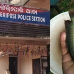 मछली-पकड़ते-समय-दर्दनाक-हादसा,-युवक-के-गले-में-फंसी-जिंदा-मछली,-हुई-मौत