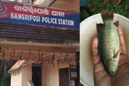 मछली-पकड़ते-समय-दर्दनाक-हादसा,-युवक-के-गले-में-फंसी-जिंदा-मछली,-हुई-मौत