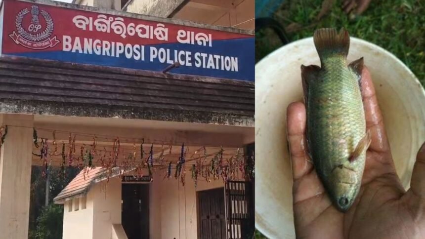 मछली-पकड़ते-समय-दर्दनाक-हादसा,-युवक-के-गले-में-फंसी-जिंदा-मछली,-हुई-मौत