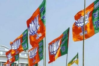 up:-भाजपा-में-कमेटियों-पर-घमासान,-मुरादाबाद-में-दो-उपाध्यक्षों-का-एलान-नहीं,-कार्यकर्ता-भी-करने-लगे-टिप्पणी