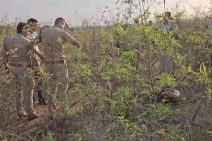 mainpuri:-सड़क-किनारे-मिला-युवक-का-शव,-चेहरे-पर-चोट-के-निशान;-पुलिस-शिनाख्त-के-प्रयास-में-जुटी